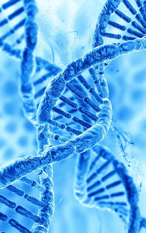 PDRN (polideoksiribonukleotid)